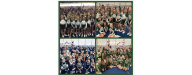 Cheer Teams